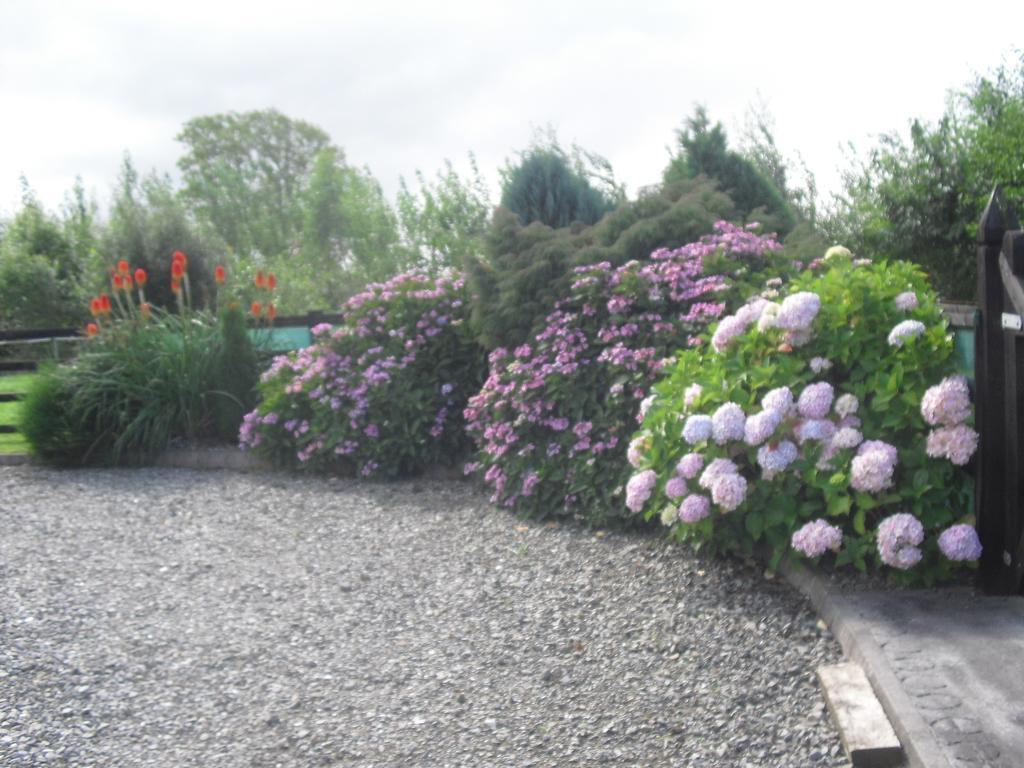 Devenish Lodge B&B Ballinrobe Exterior foto