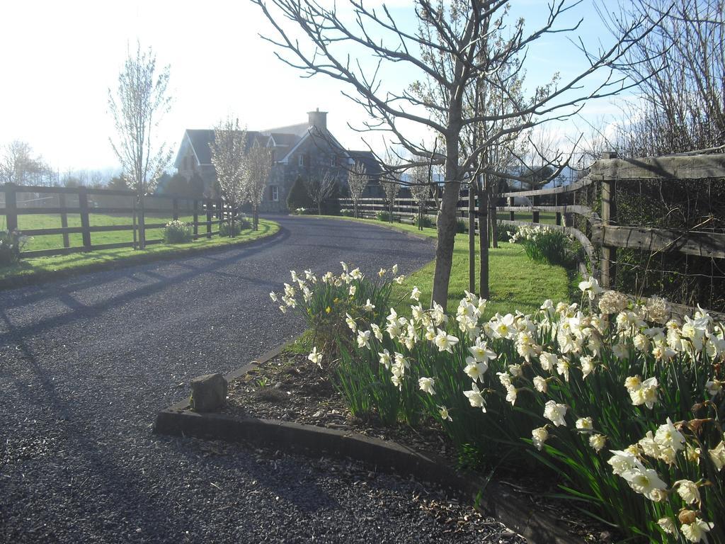 Devenish Lodge B&B Ballinrobe Exterior foto